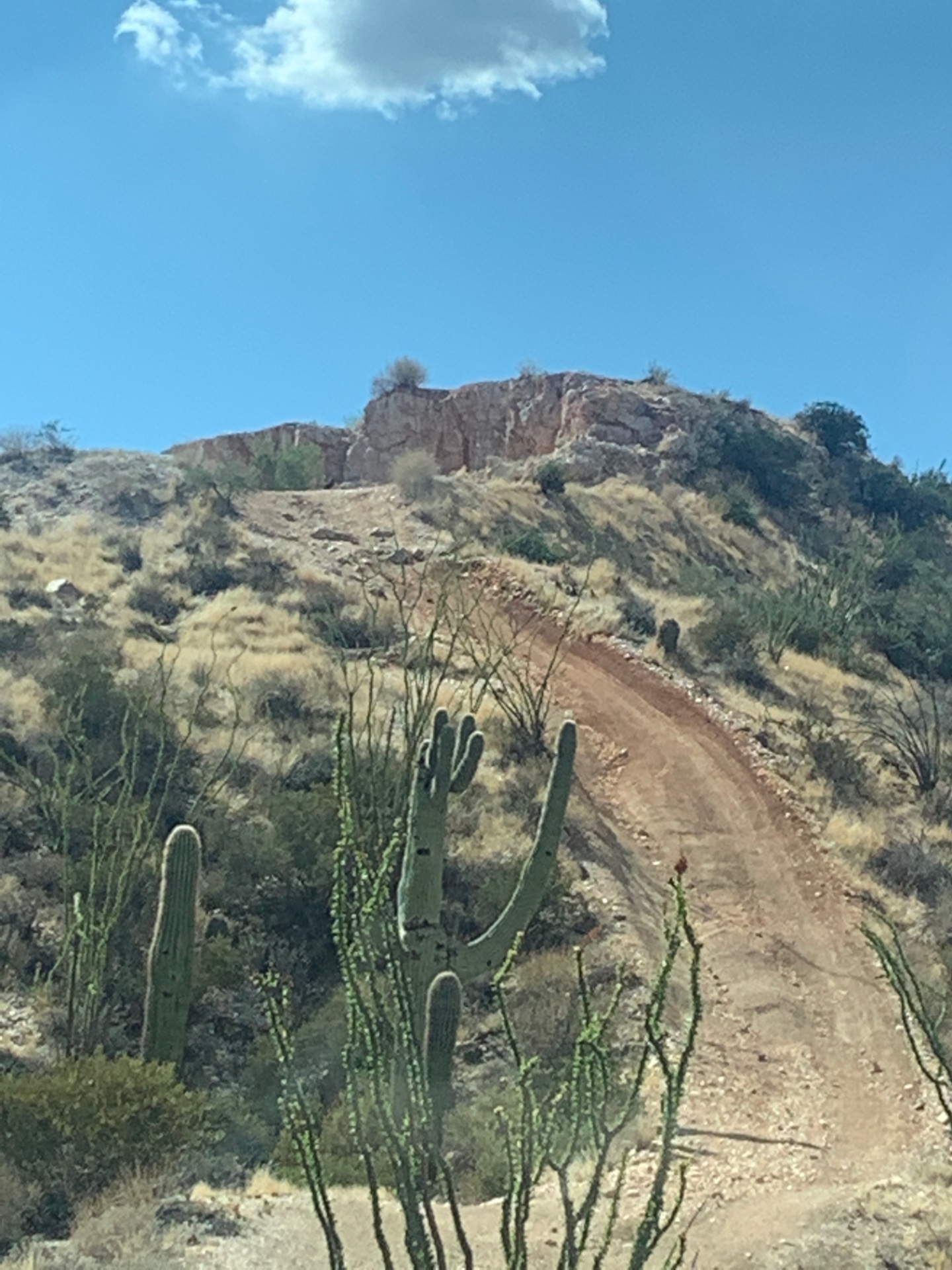Sycamore Creek Loop Arizona Offroad Trail