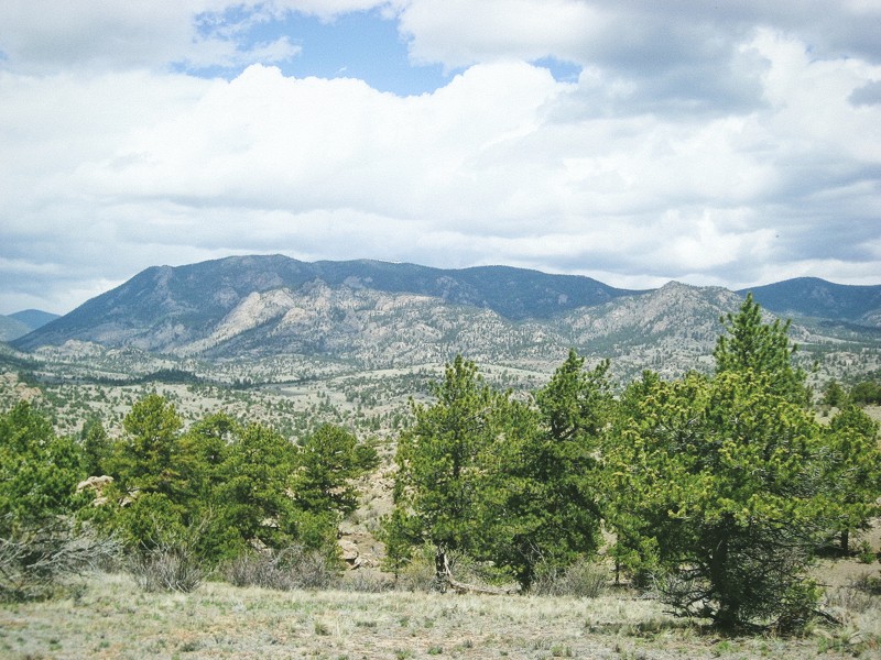 Colorado: Fourmile Area: Lenhardy Cutoff Hero Photo