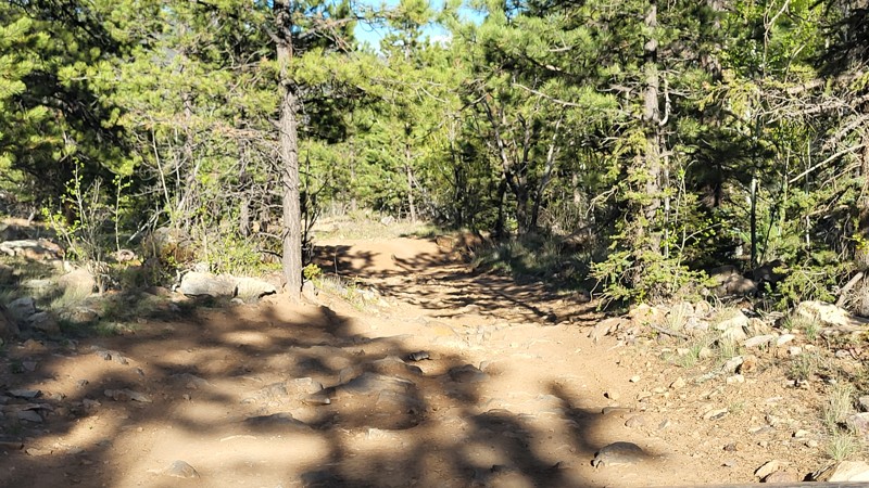 Fourmile Area: Lenhardy Cutoff Trail Review Photo