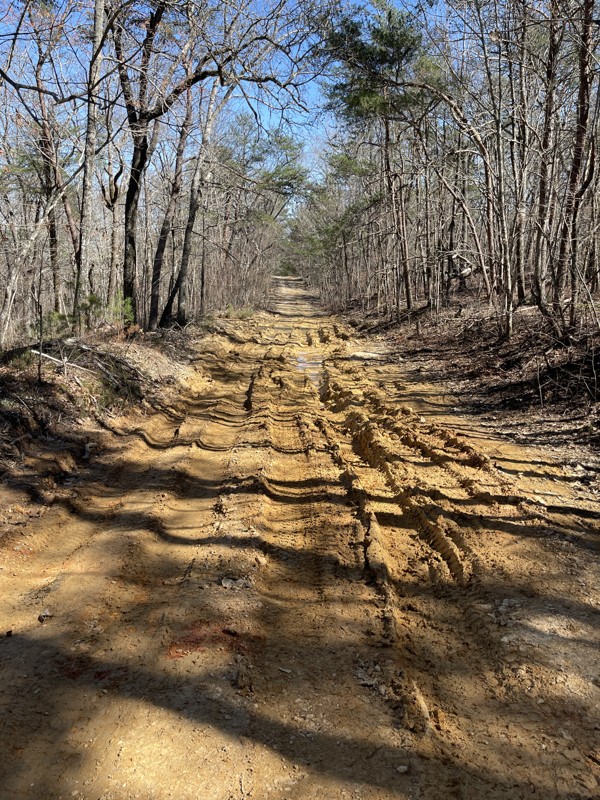 Trail Review: Talladega National Forest 600-1 - au4x