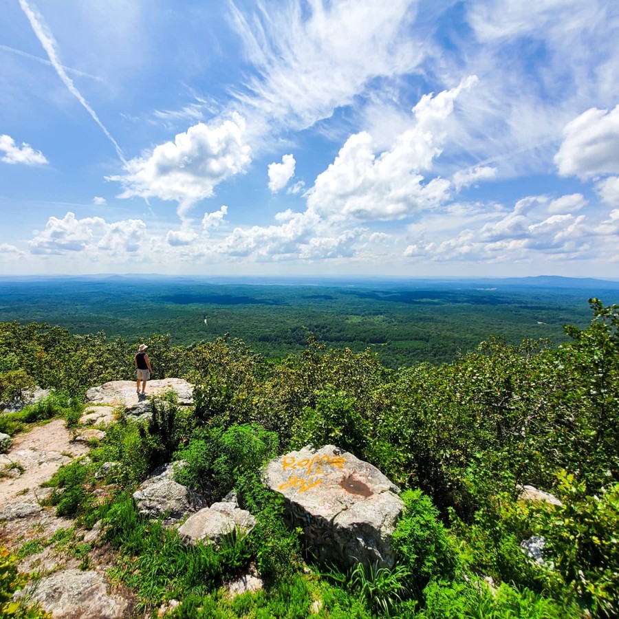 Trail Review: Talladega National Forest 600-1 - Andre L Urquiza