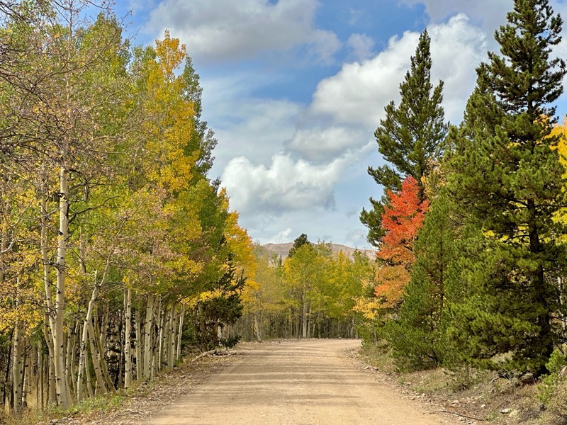 Boreas Pass Trail Review Photo