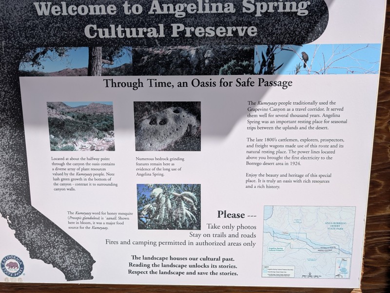 Grapevine Canyon Road Trail Review Photo