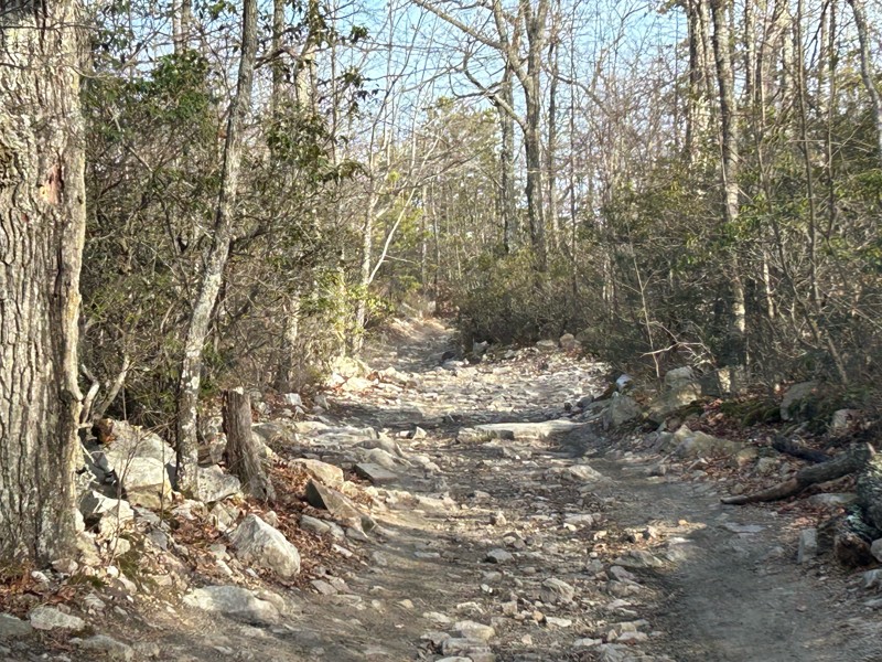 Peters Mill Run Trail Review Photo