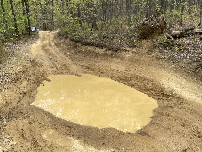 Peters Mill Run Trail Review Photo