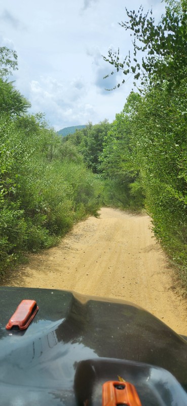 Peters Mill Run Trail Review Photo