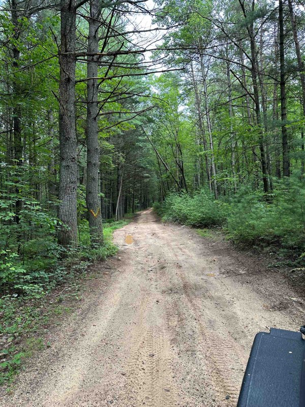 Peters Mill Run Trail Review Photo