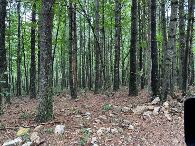 Peters Mill Run Trail Review Photo