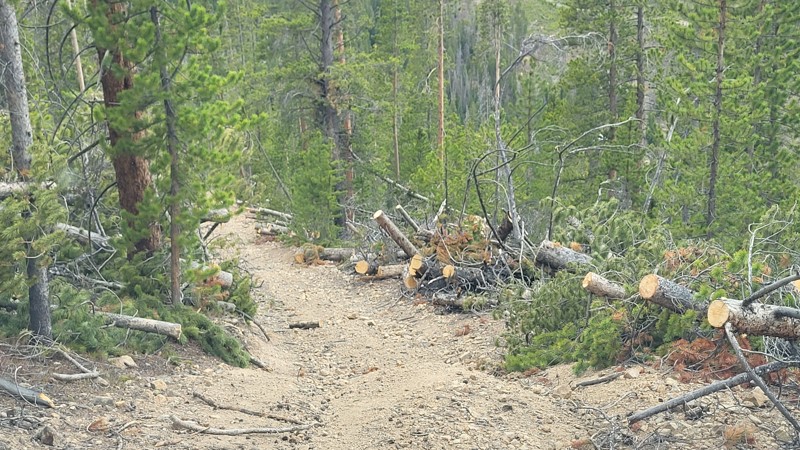 Brewery Hill Trail Review Photo