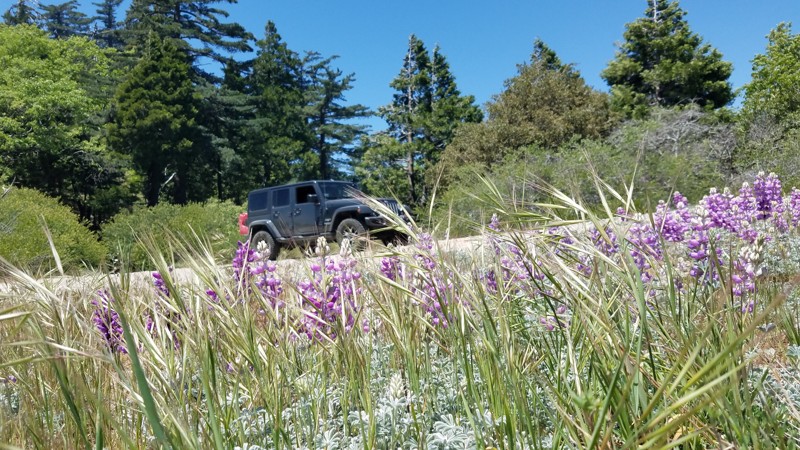 California: Bailey Canyon Hero Photo
