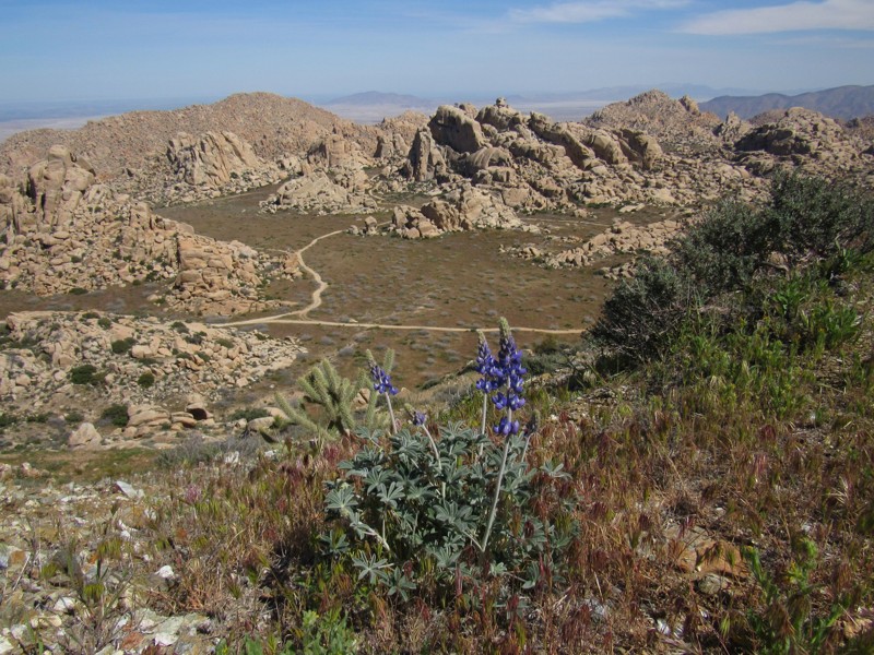 California: Elliot Mine Trail Hero Photo