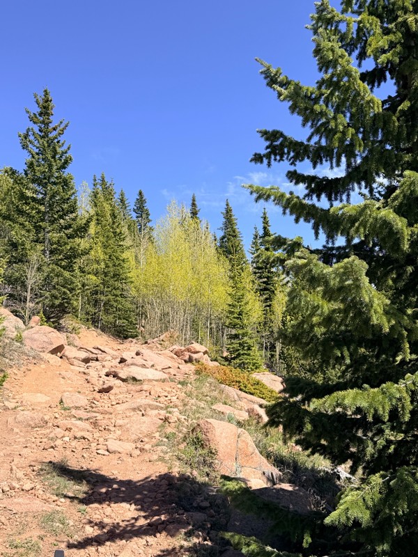 Bull Park Trail Review Photo
