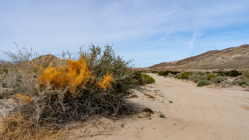 Trail Review: Mortero Wash North - Anza Borrego - Josh Noesser