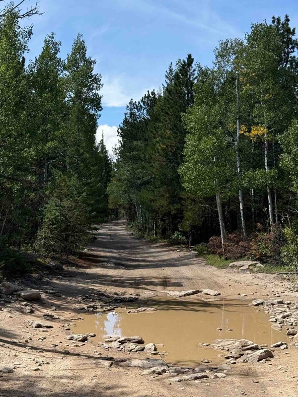 Bunce School Road Trail Review Photo