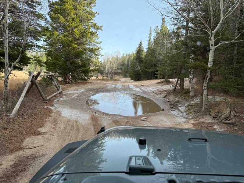 Bunce School Road Trail Review Photo