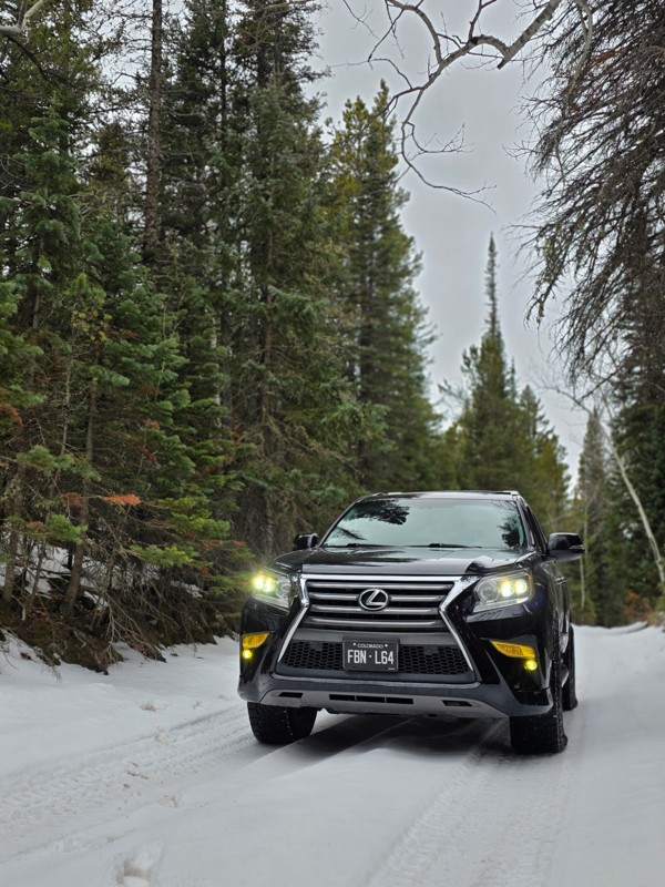 Bunce School Road Trail Review Photo