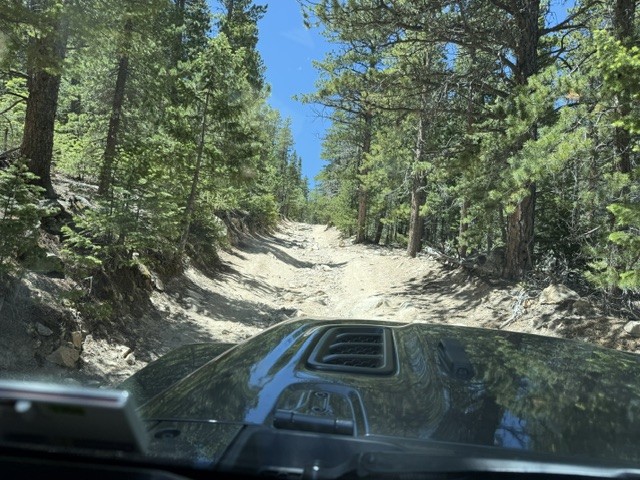 Bunce School Road Trail Review Photo