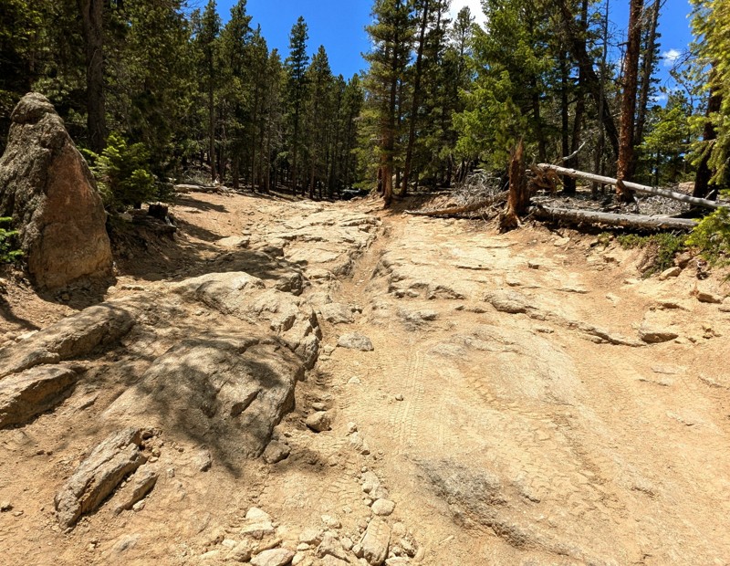 Bunce School Road Trail Review Photo