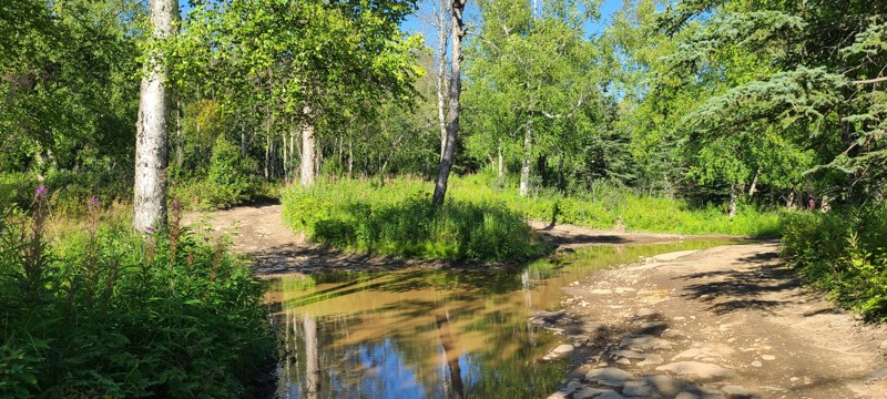 Kings River Trail Trail Review Photo