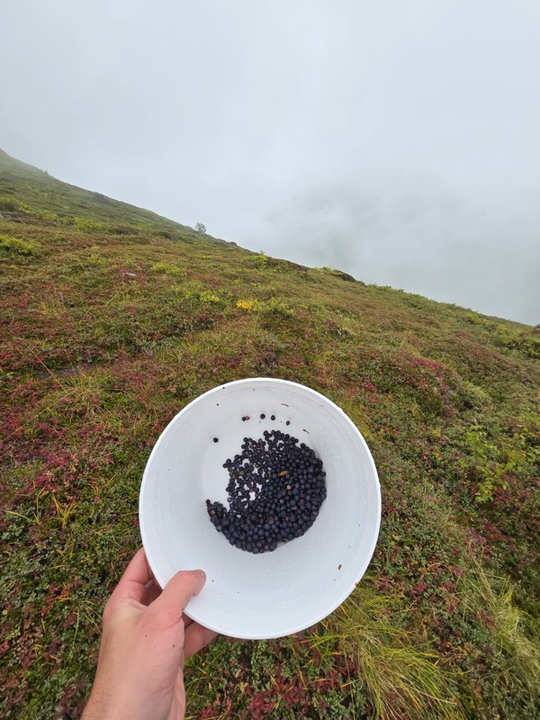 Hatcher Pass Road Trail Review Photo