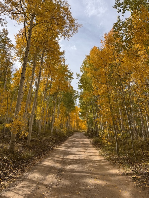 North Skyline Drive Trail Review Photo