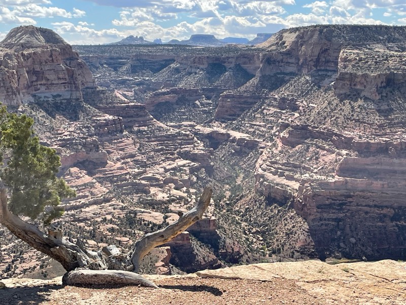 The Wedge Overlook Trail Review Photo