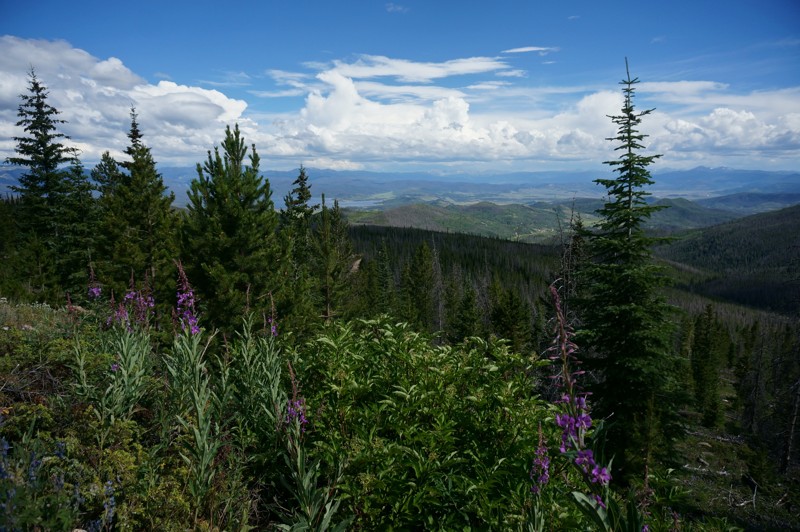 Colorado: Camway Trail Hero Photo