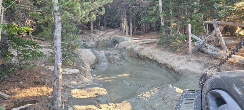 Caribou Creek (North) Trail Review Photo
