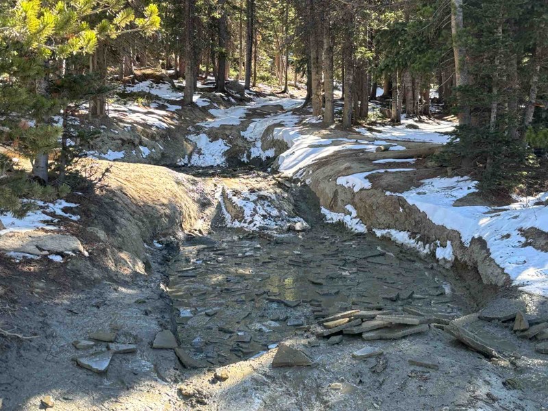 Caribou Creek (North) Trail Review Photo