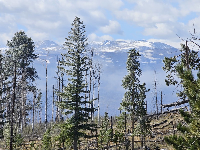 Swamp Creek Road Trail Review Photo