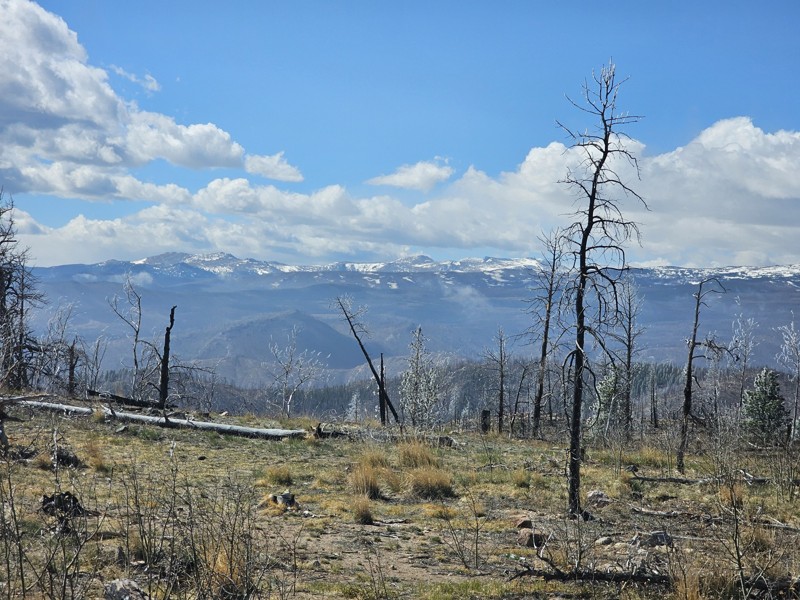 Swamp Creek Road Trail Review Photo