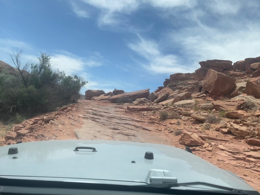 Trail Review: Comb Ridge - Tammy Norrington