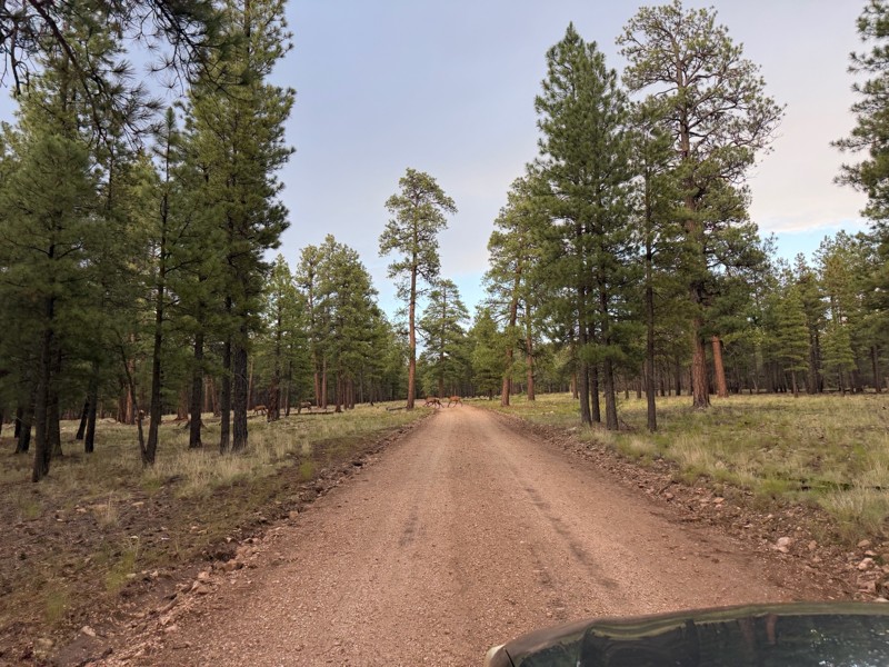 Hull Cabin Trail Review Photo