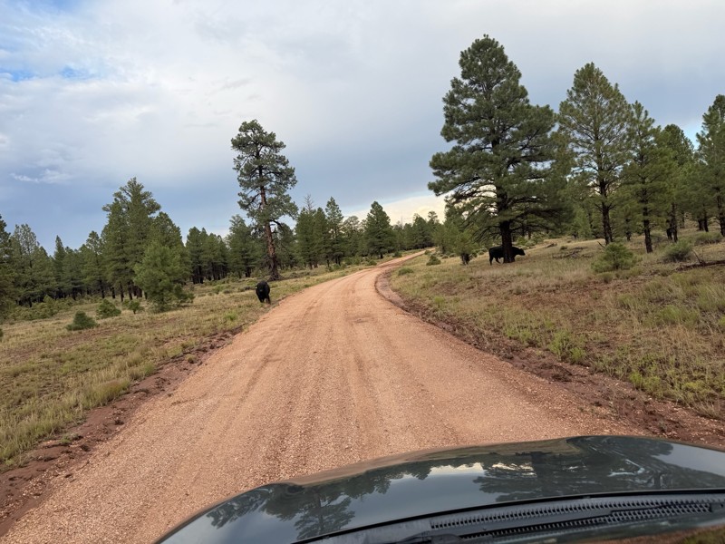 Hull Cabin Trail Review Photo