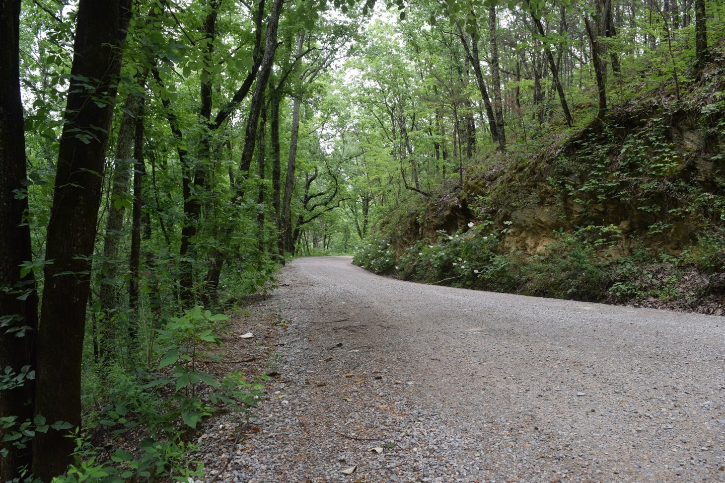Talladega National Forest651 Alabama Offroad Trail