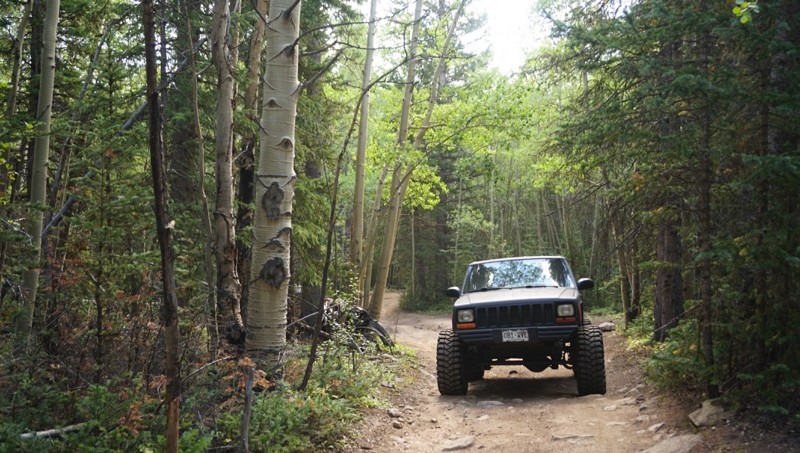 Colorado: Cascade Creek Hero Photo