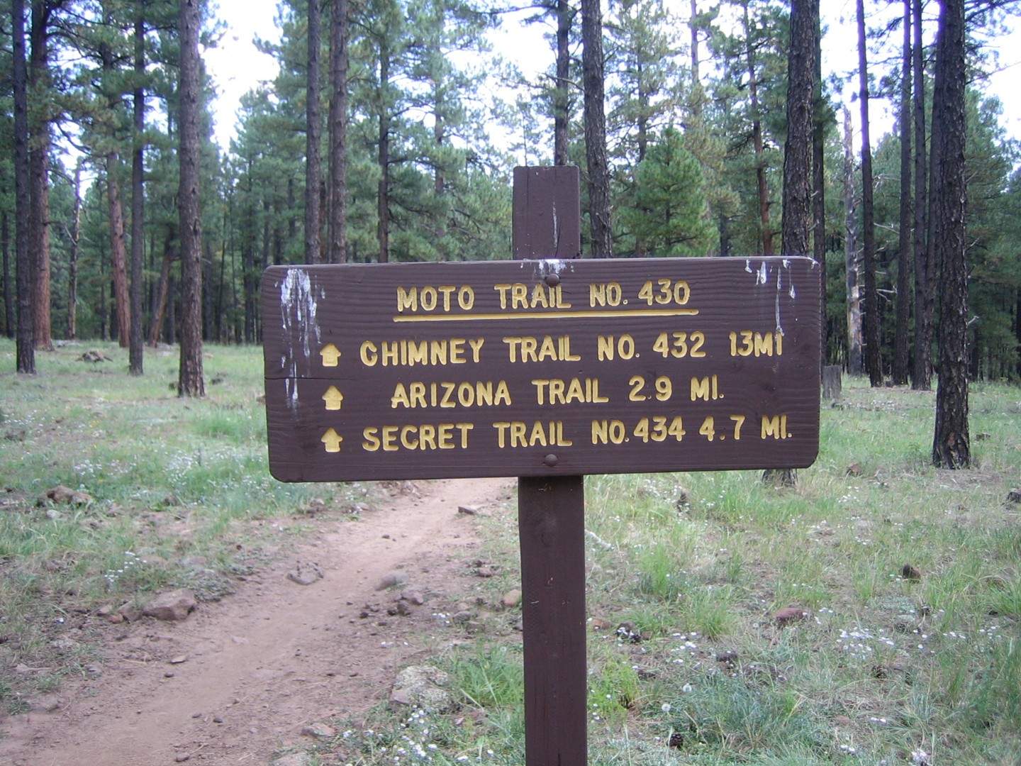 FR 164B Canyon Loop - Best Trails