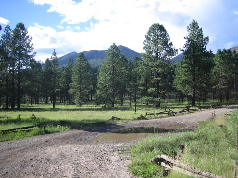 Arizona: Schultz Pass Hero Photo