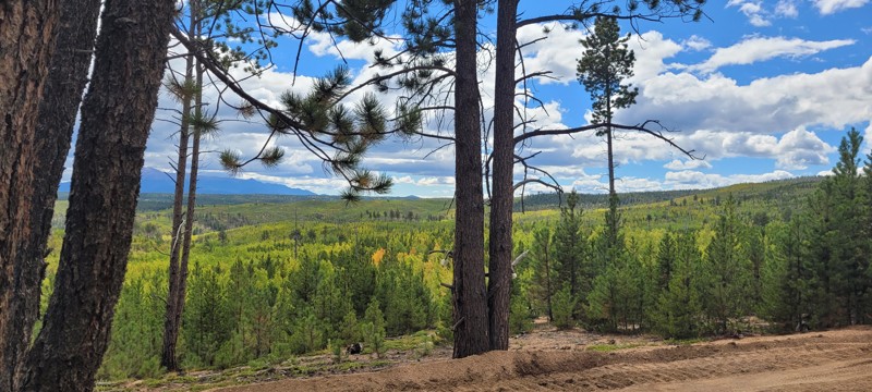 Cedar Mountain Road Trail Review Photo