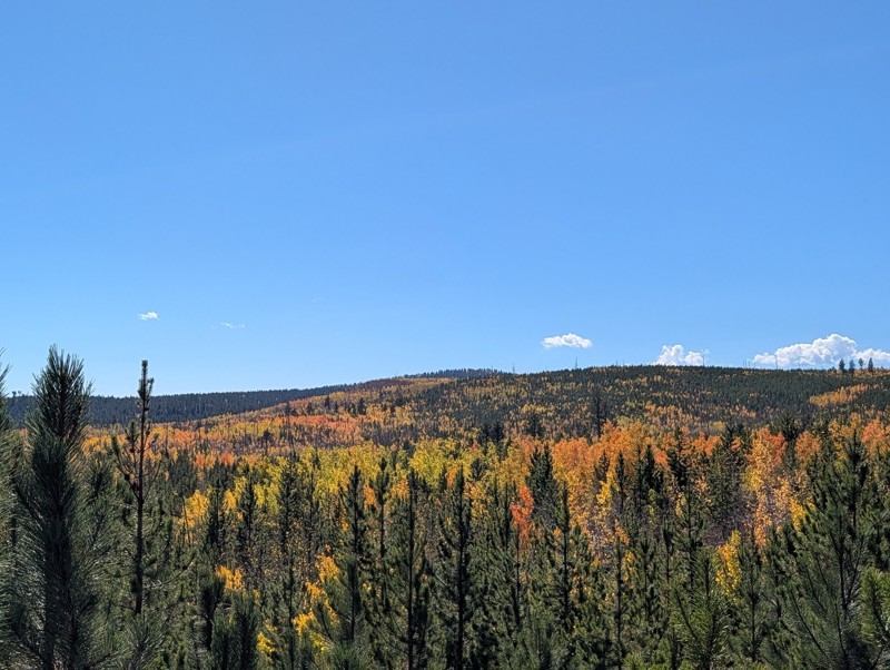 Cedar Mountain Road Trail Review Photo