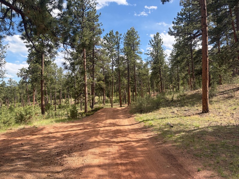 Manitou Destructor Trail Review Photo