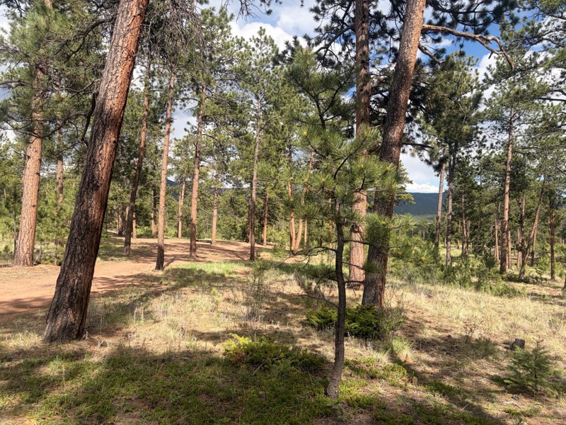 Manitou Destructor Trail Review Photo