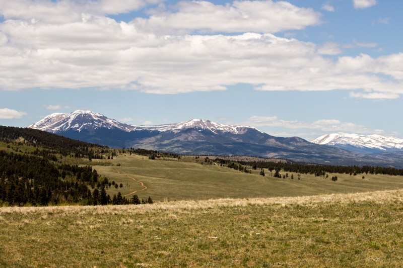 Colorado: Fourmile Area: Mushroom Gulch Hero Photo