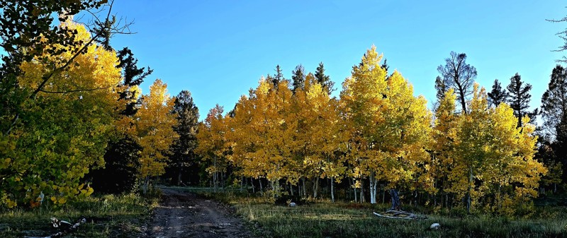 Fourmile Area: Mushroom Gulch Trail Review Photo