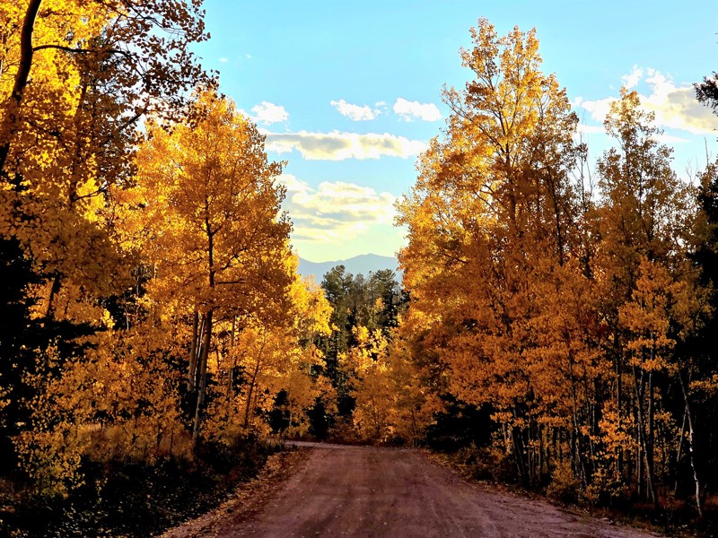 Fourmile Area: Mushroom Gulch Trail Review Photo