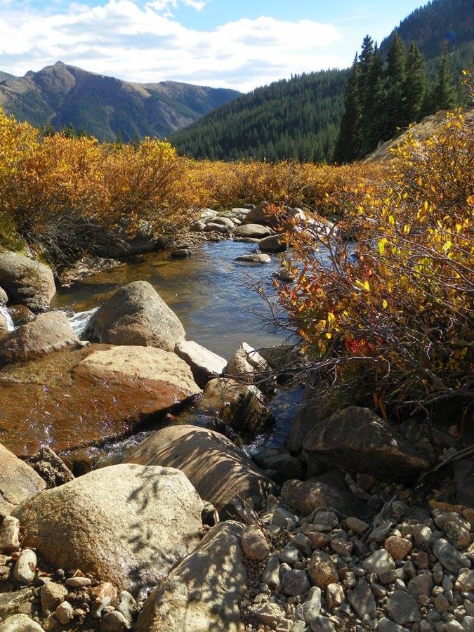 Trail Review: Chihuahua Gulch - Jen Marshall