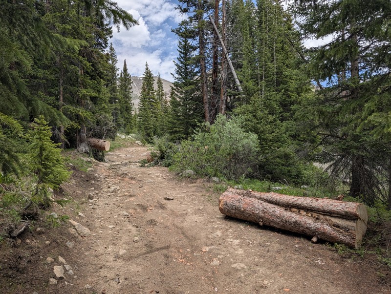 Chihuahua Gulch Trail Review Photo