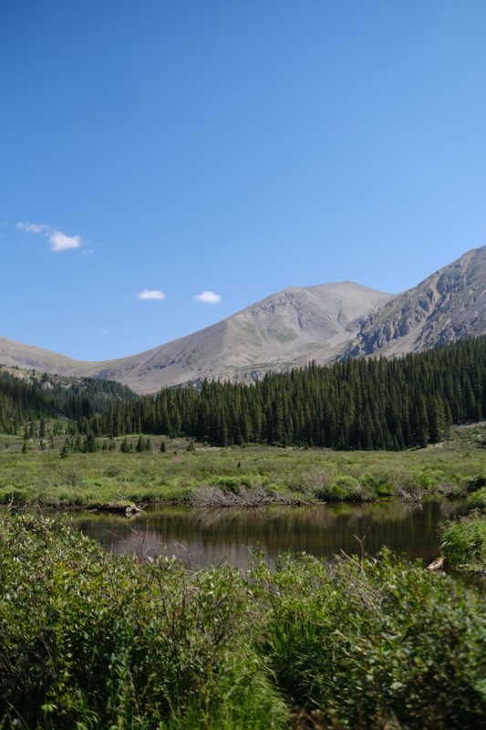 Chihuahua Gulch Trail Review Photo