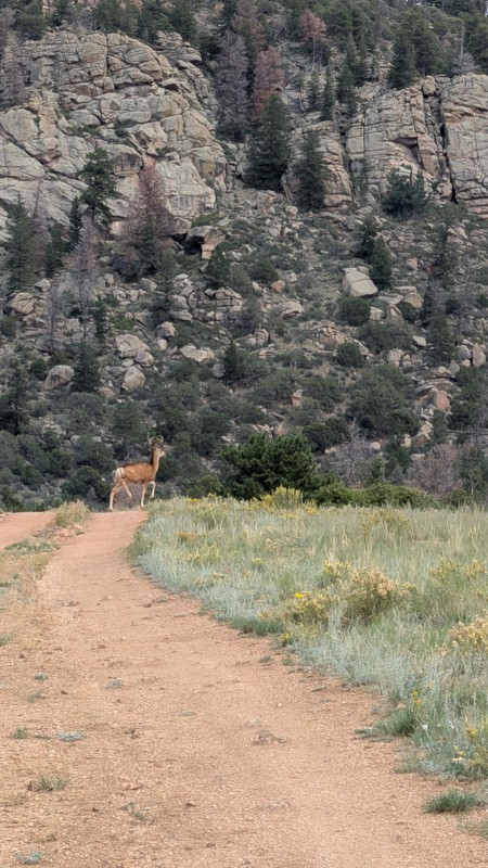 Little Cottonwood Creek Trail Review Photo