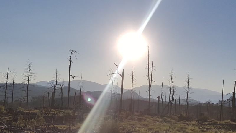Colorado: Chestnut Trail Hero Photo